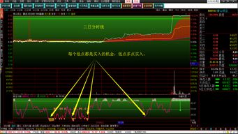 陈江挺《炒股的智慧》