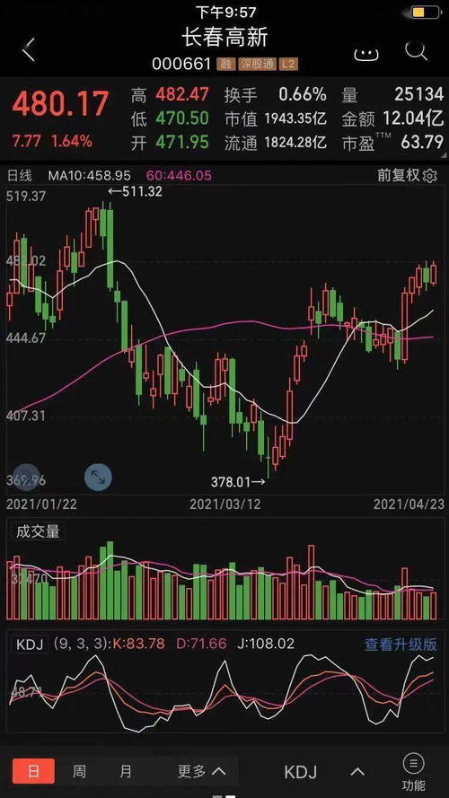 炒股入门与技巧电子书下载在线阅读