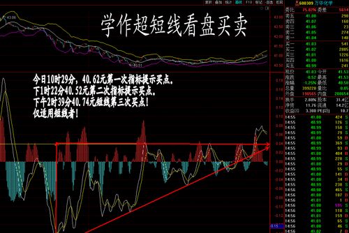 炒股做超短线真的能赚钱吗