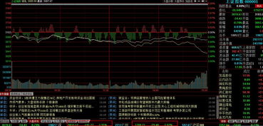 炒股做大核心技巧视频