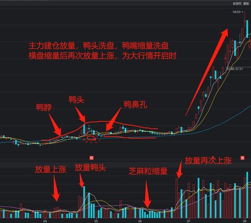 陈江挺在股市赚了多少钱