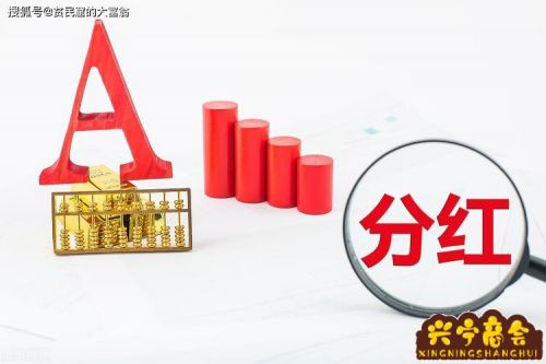 20万我入股五万怎么算分红