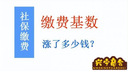 2022年个人社保缴费标准(2022年个人社保缴费标准表重庆)