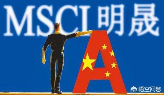 美的集团为什么剔除msci指数