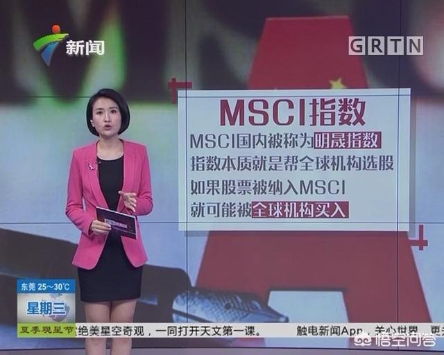 美的集团为什么剔除msci指数